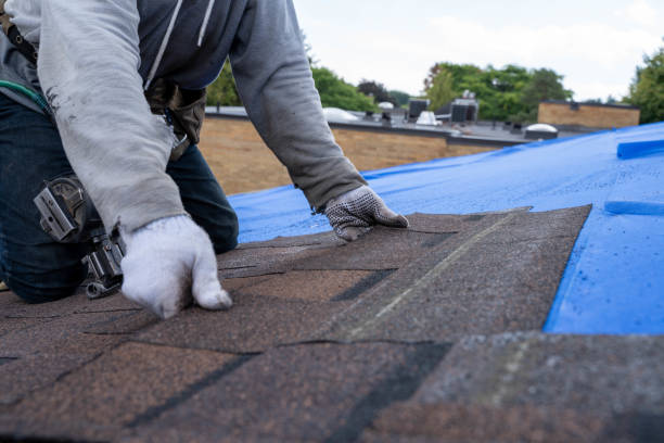 Gutter Replacement in Bull Valley, IL